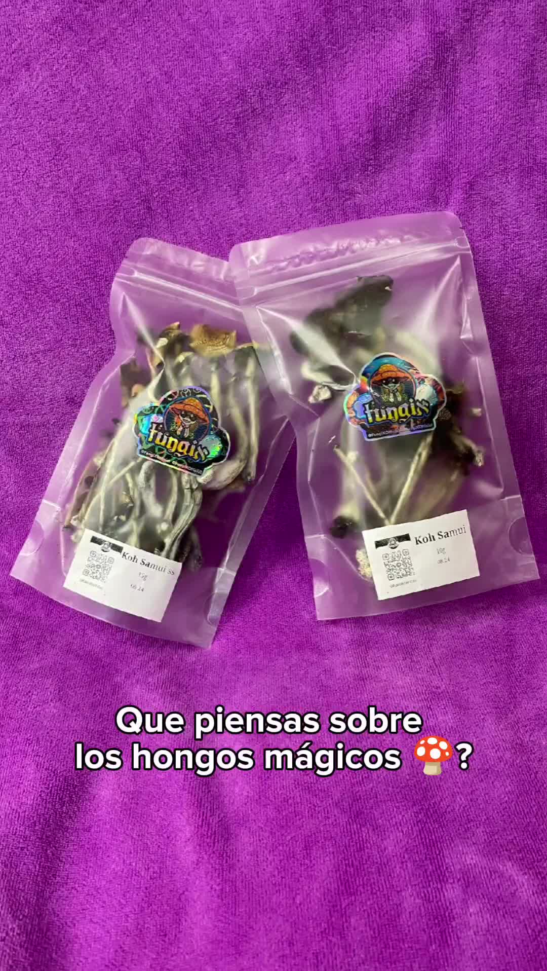 @FungixOfficial🧬🚀