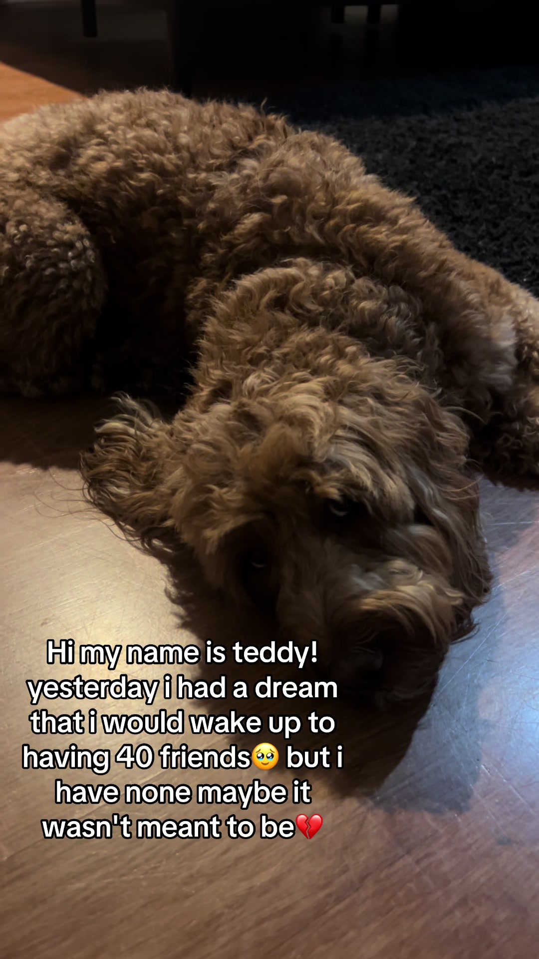 @Goldendoodlelover