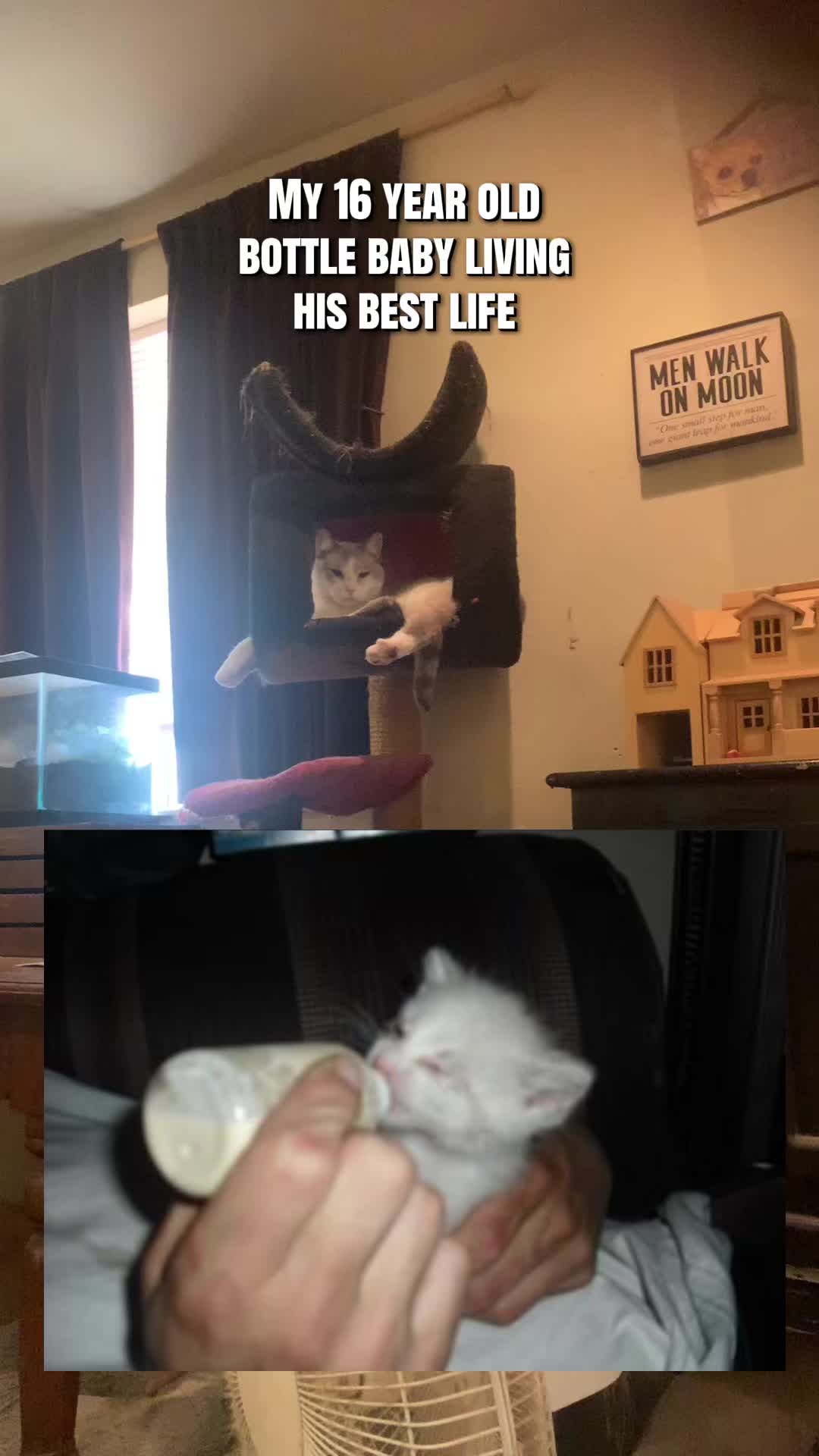 @Nikkiwasilishin726