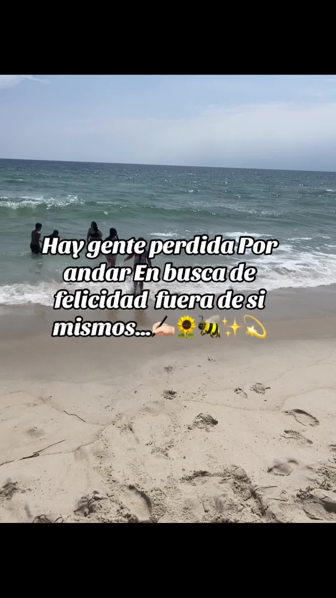 @💛Bonita_Girasol91