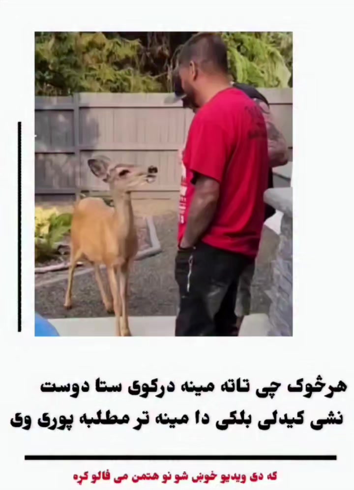 @Hïŕàñ 🇵🇰💞🇦🇪