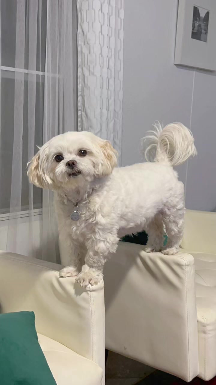 @AZUL🐶🥰