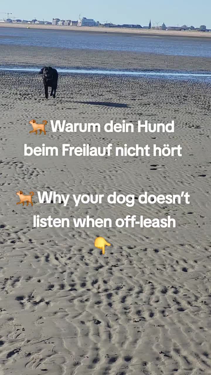 @Arne von Lammertshof-Deckrüde