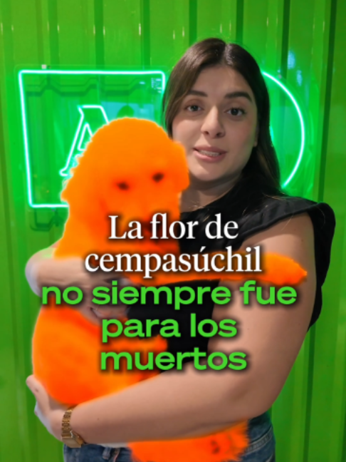 @Ahora Entiendo