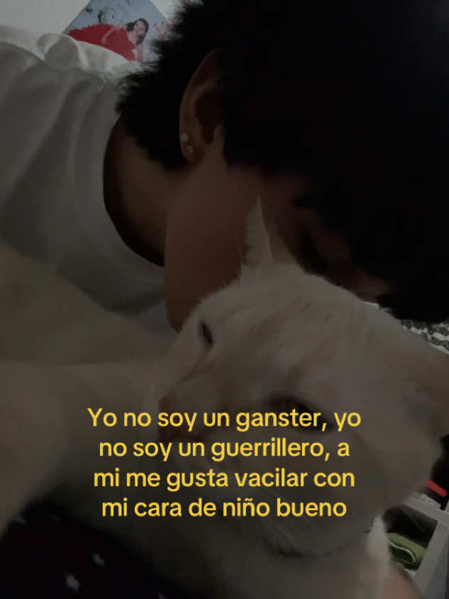 @marinho