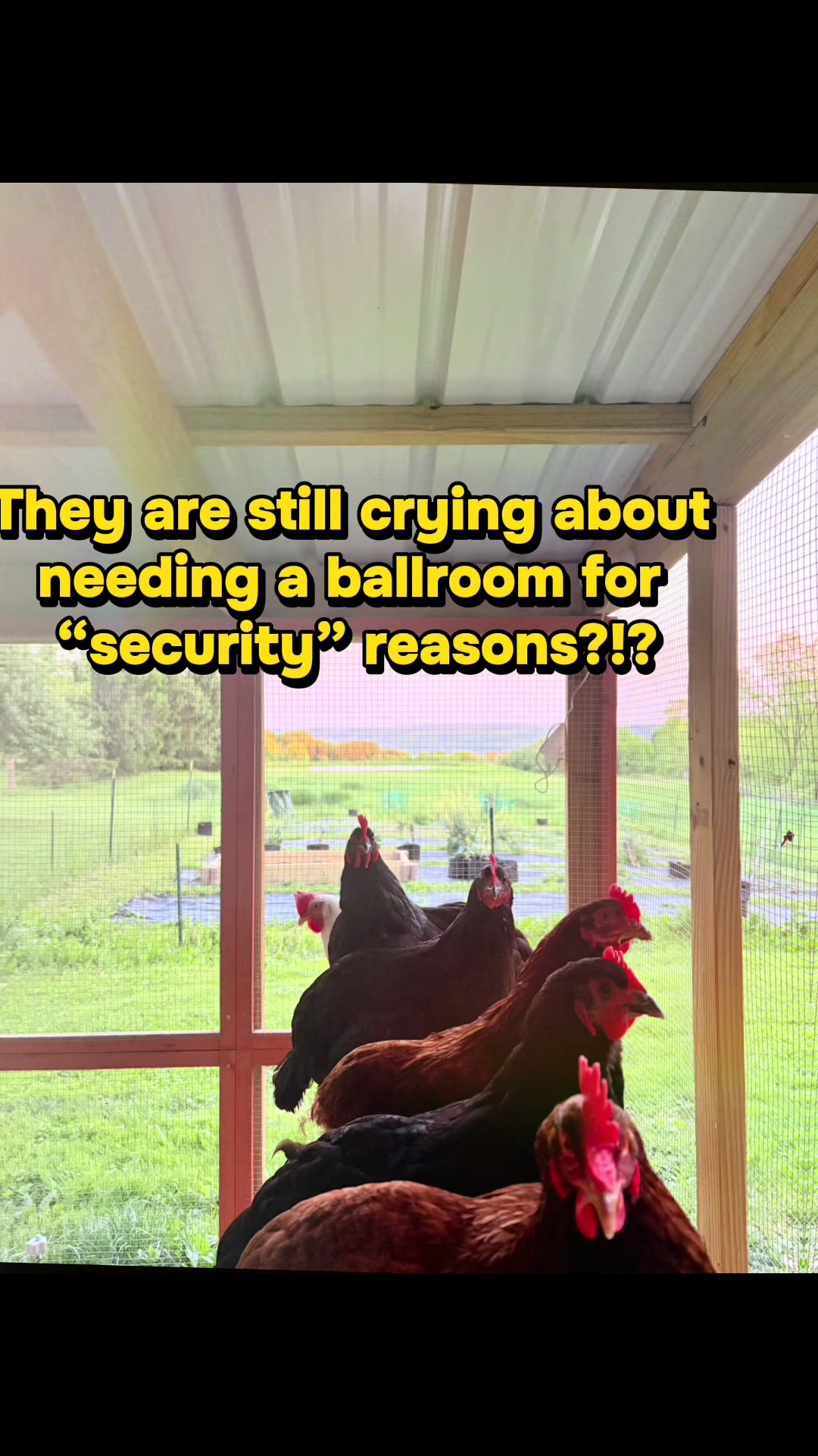 @Resistance Homesteaders