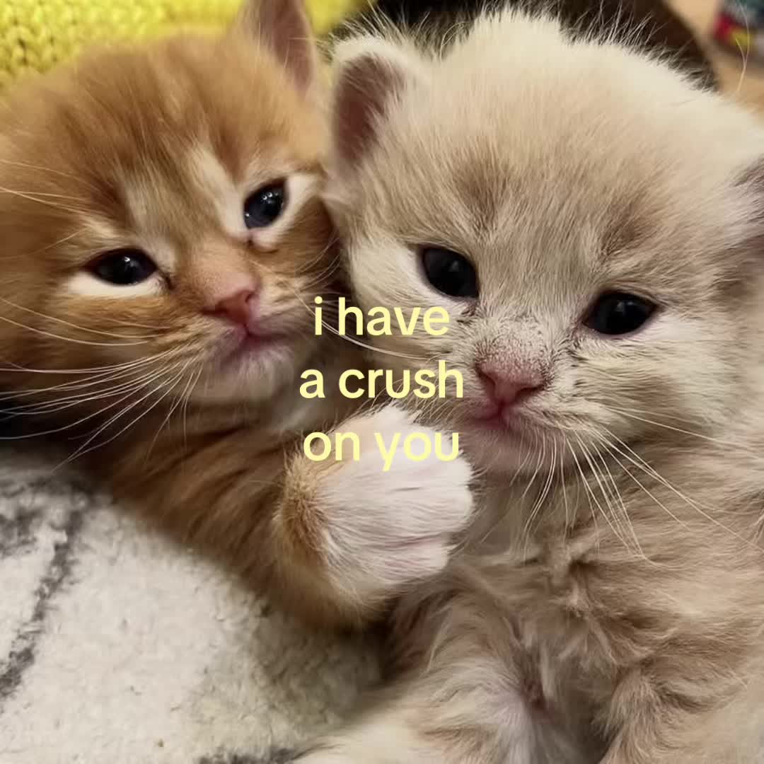 @thisbelovedlife