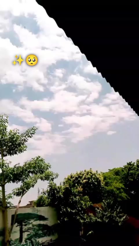 @✨شہباز خان💯