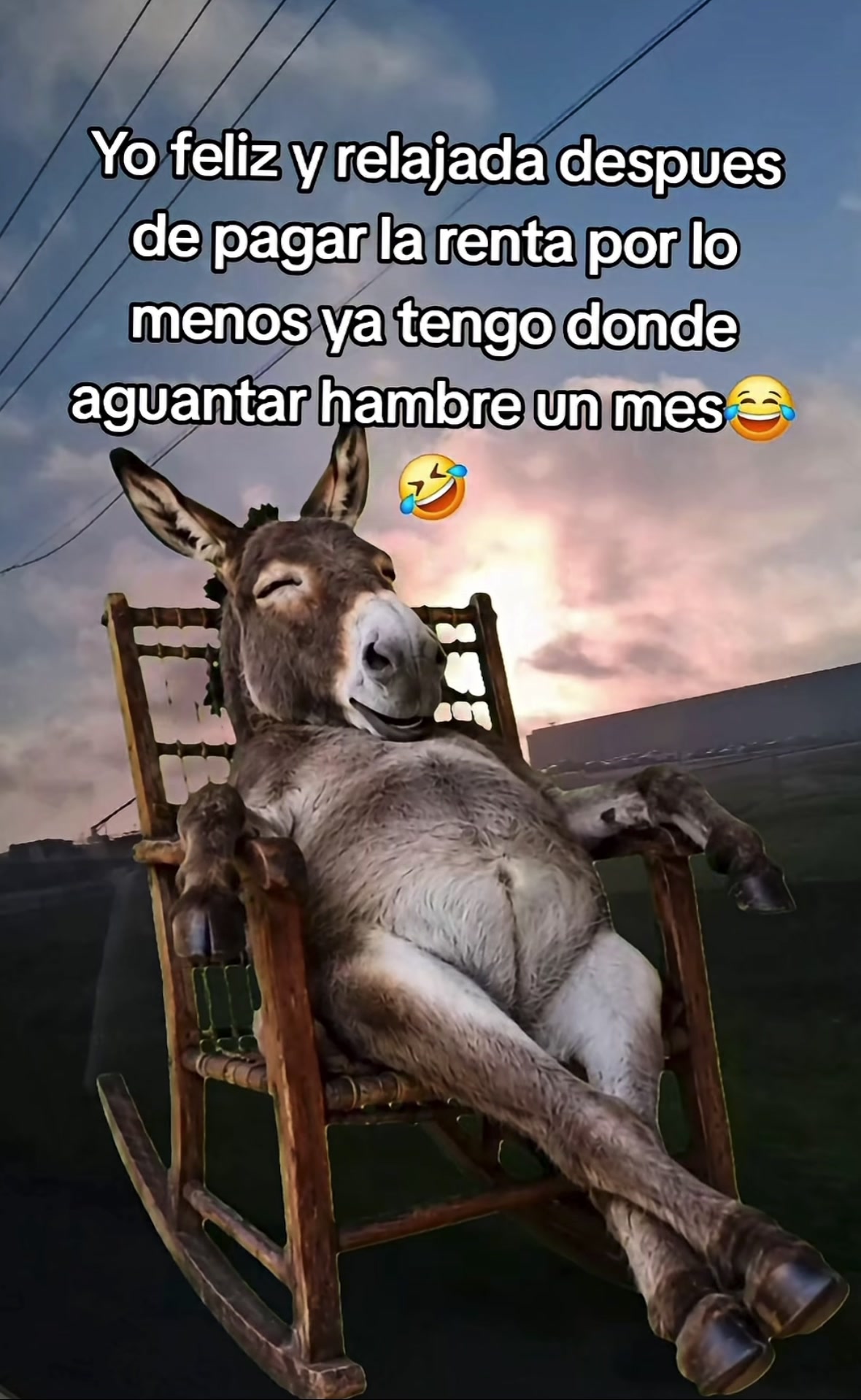 @Portillo8787