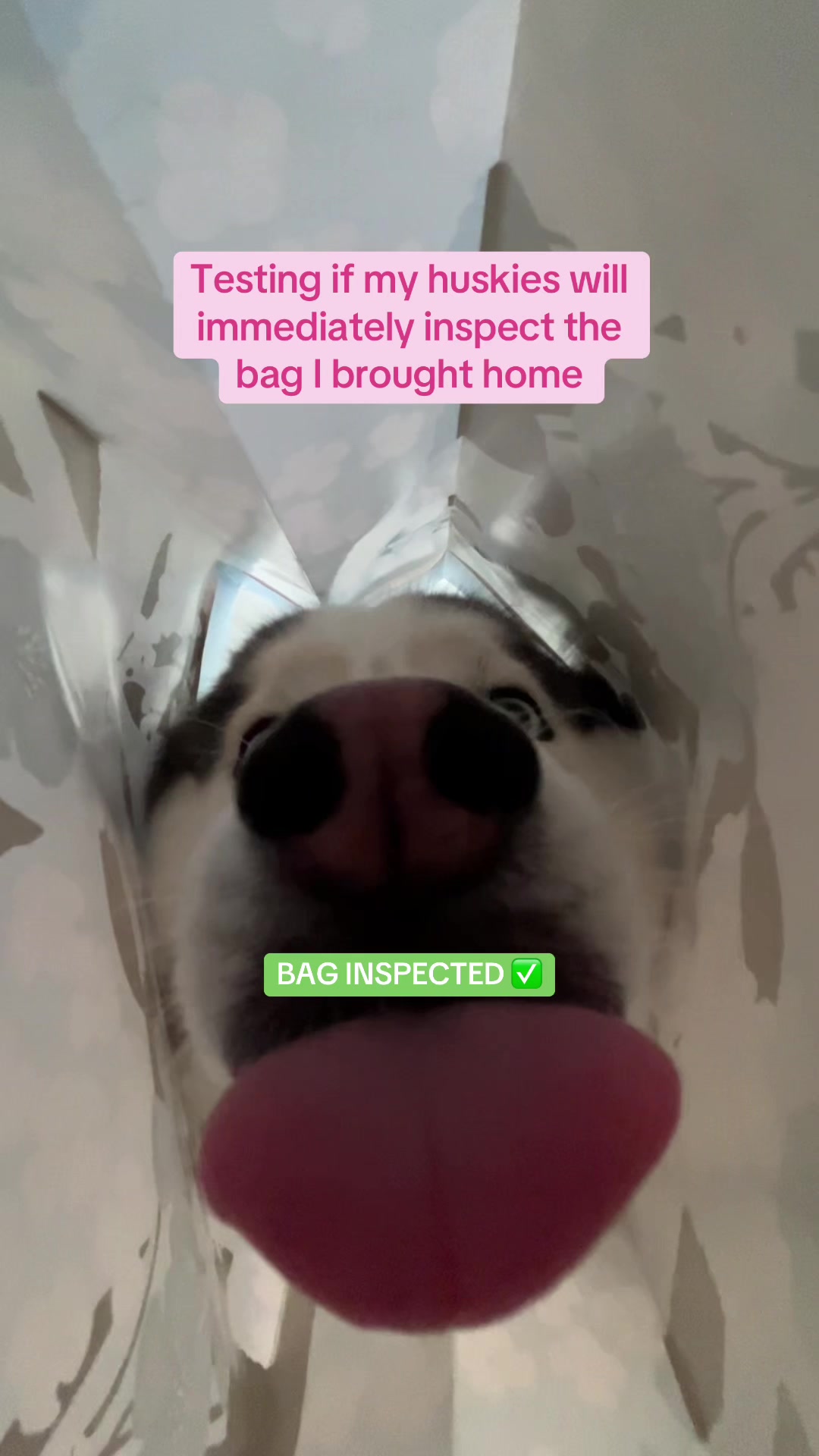 @Winnie & Wookie🐾