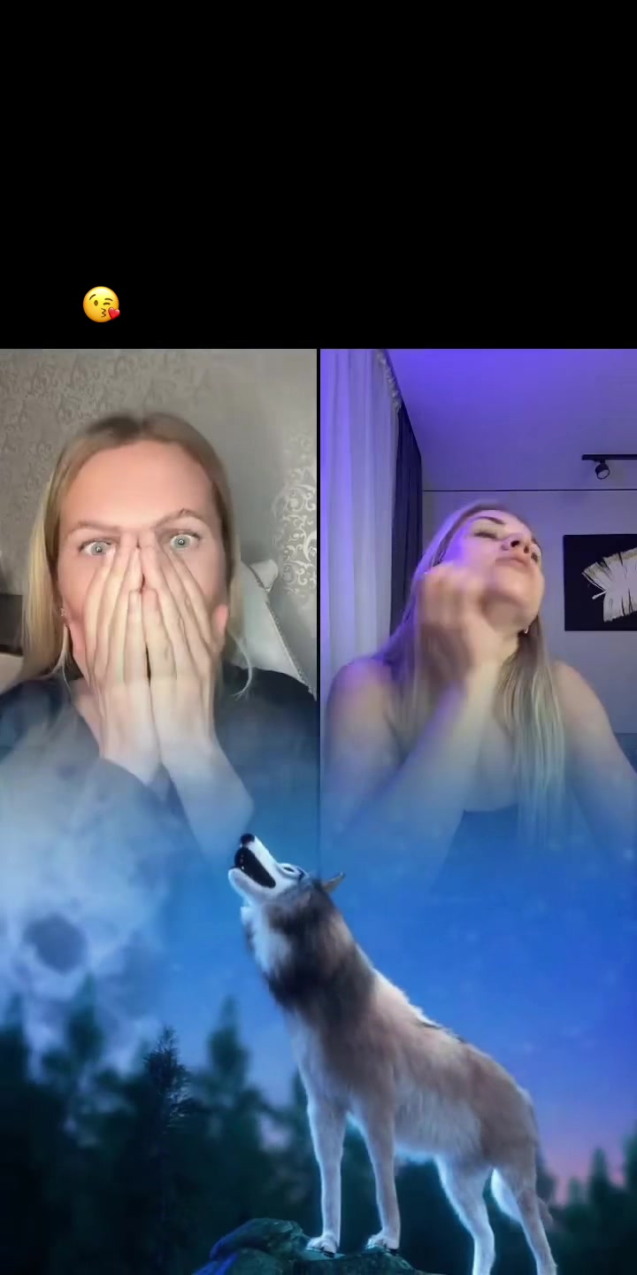 @Vikusya