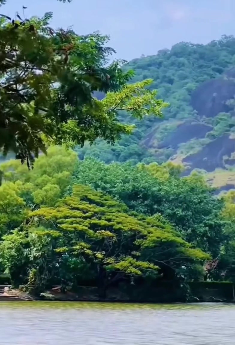 @Kesh  Hansini Nanayakkara
