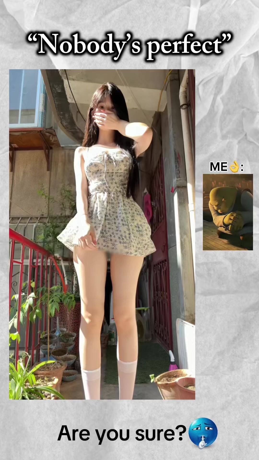 @Shrekk