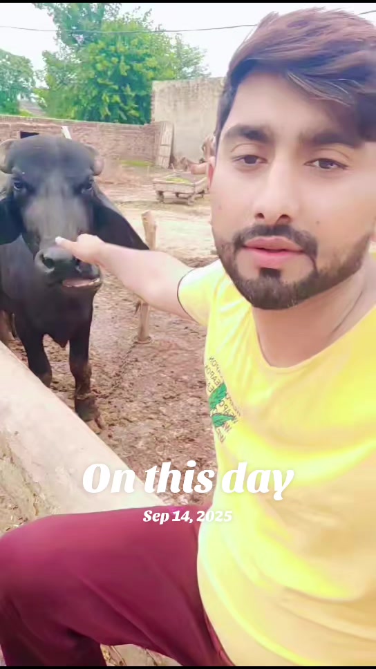@Adnan Rajput