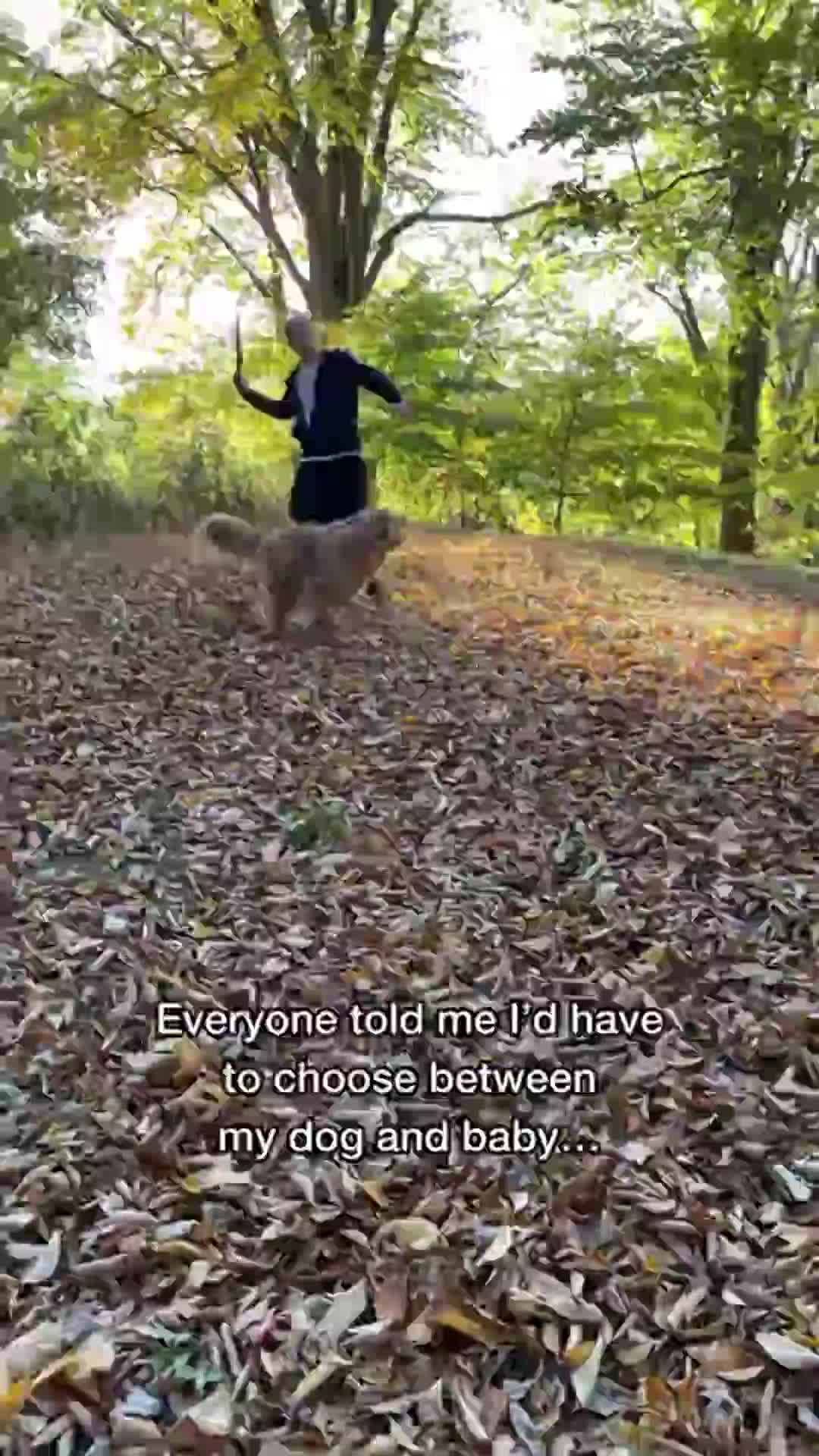 @Dev | mom + dog mom