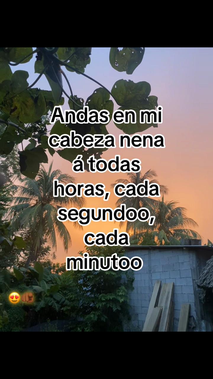 @Contenido🎯