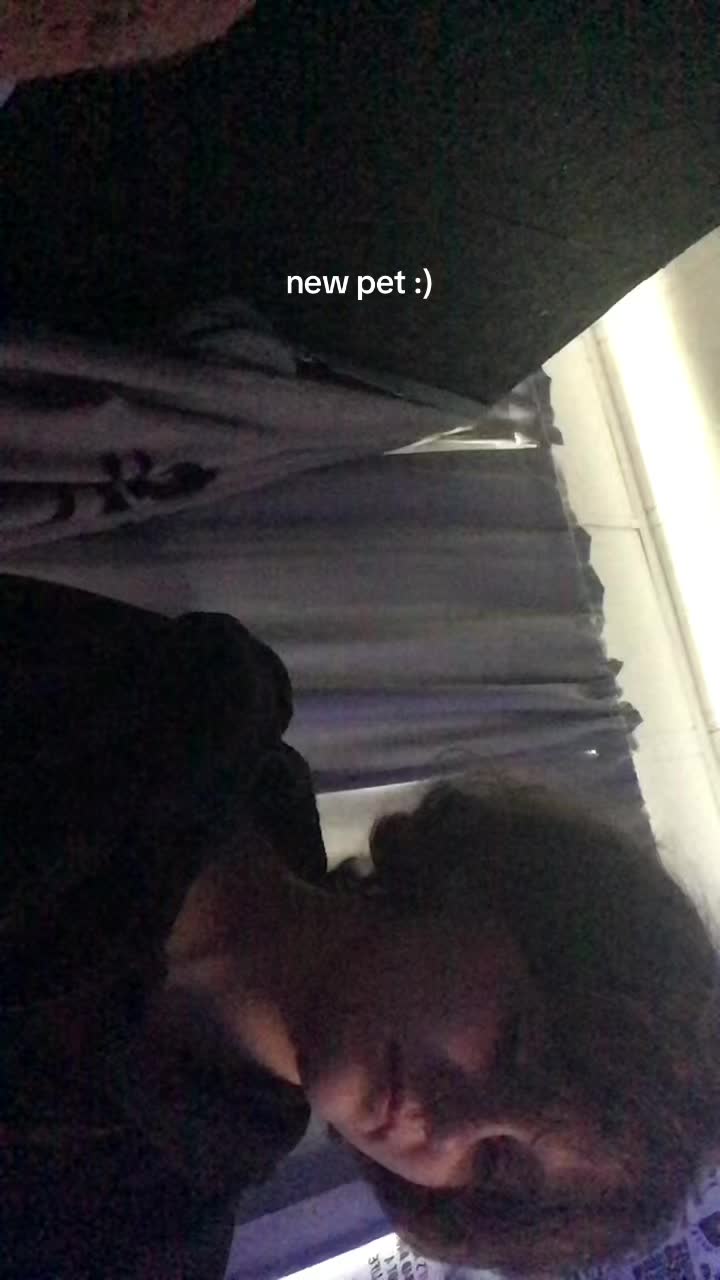 @lily.commmmmmmm