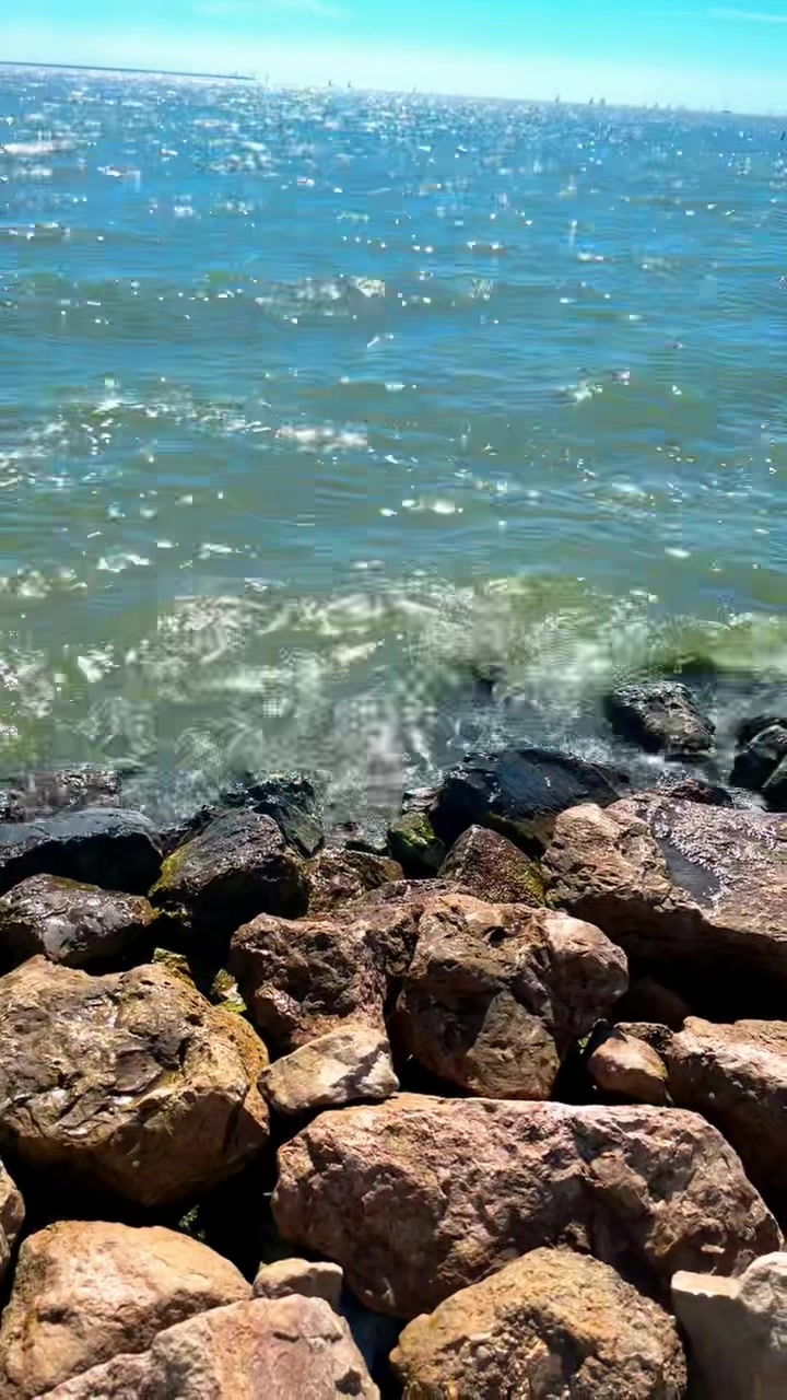 @ETtrujillo