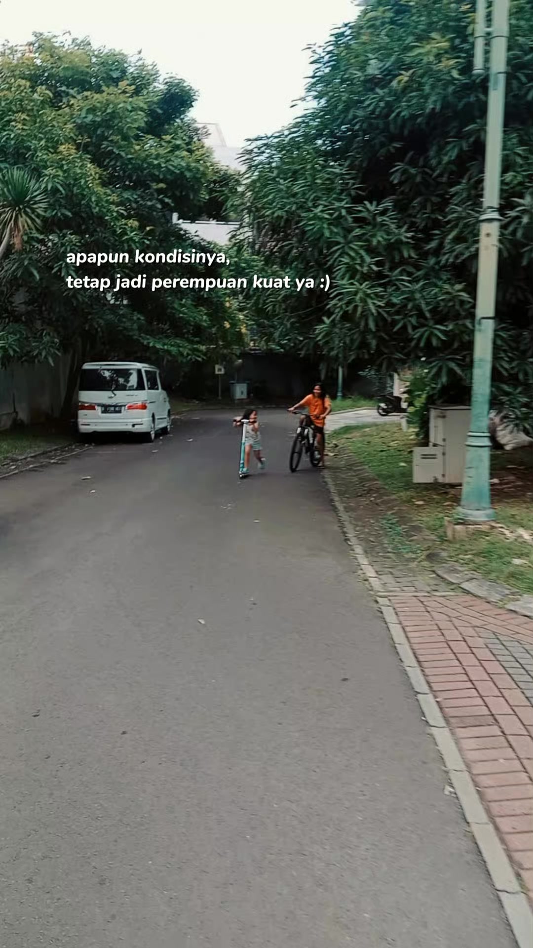 @arlyn kaley