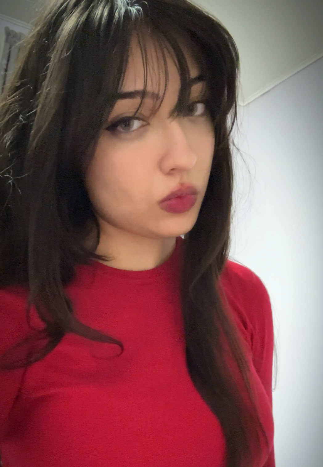 @taz 💫