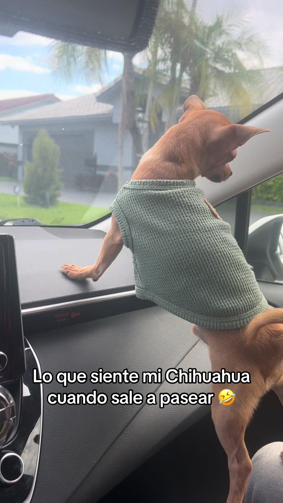 @Gloria Hernandez