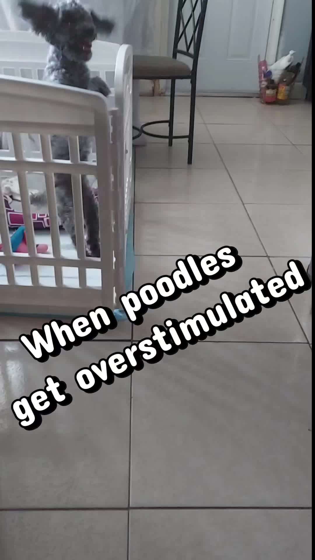 @Luna