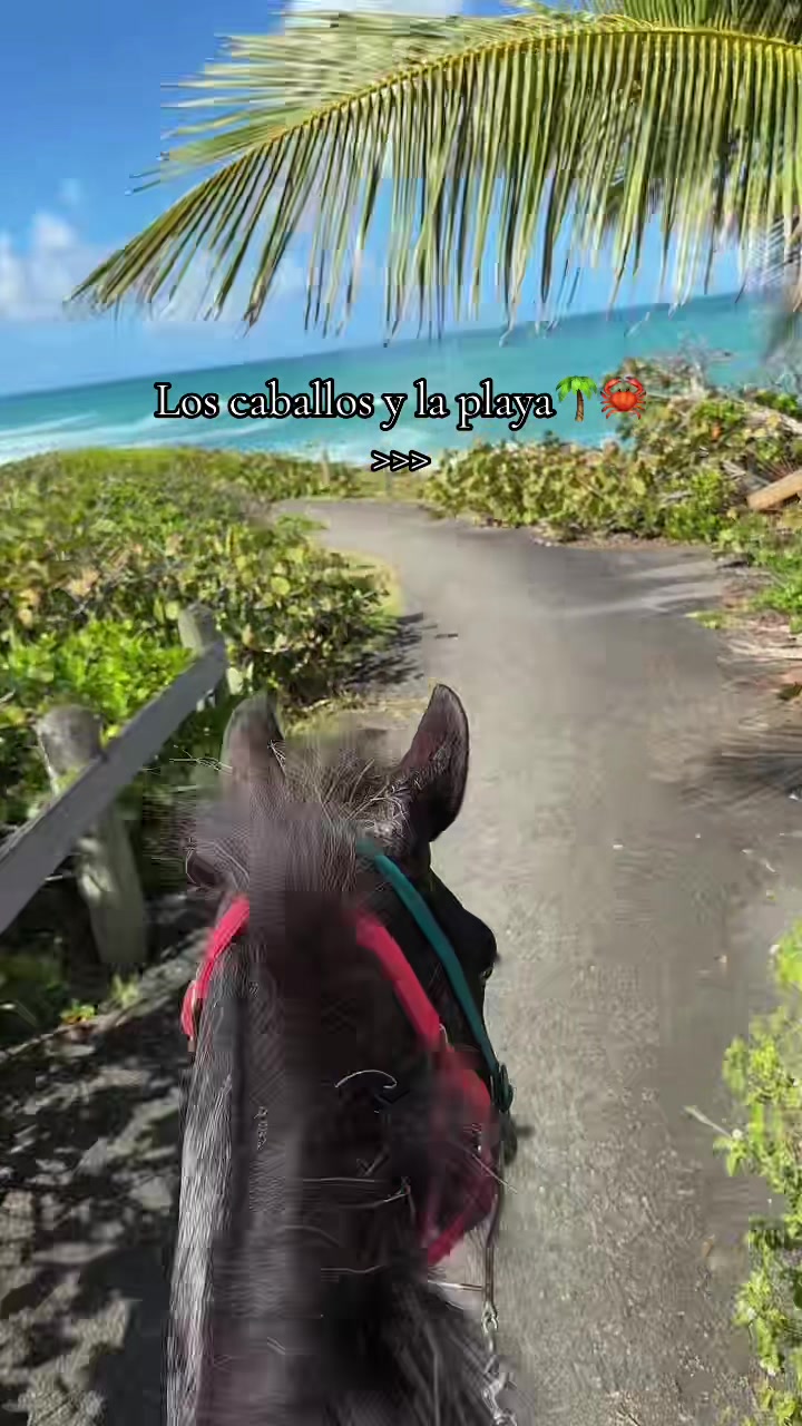 @Yany🇵🇷