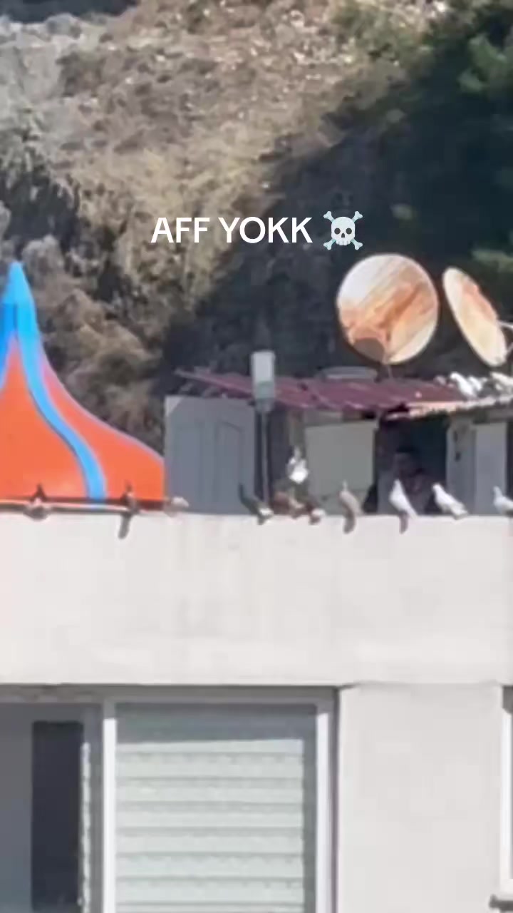 @Ömer Turunç