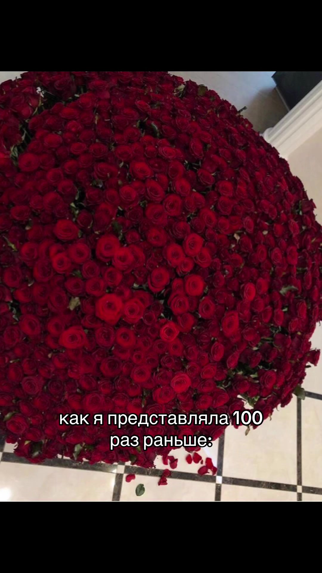 @██████живчик ██████