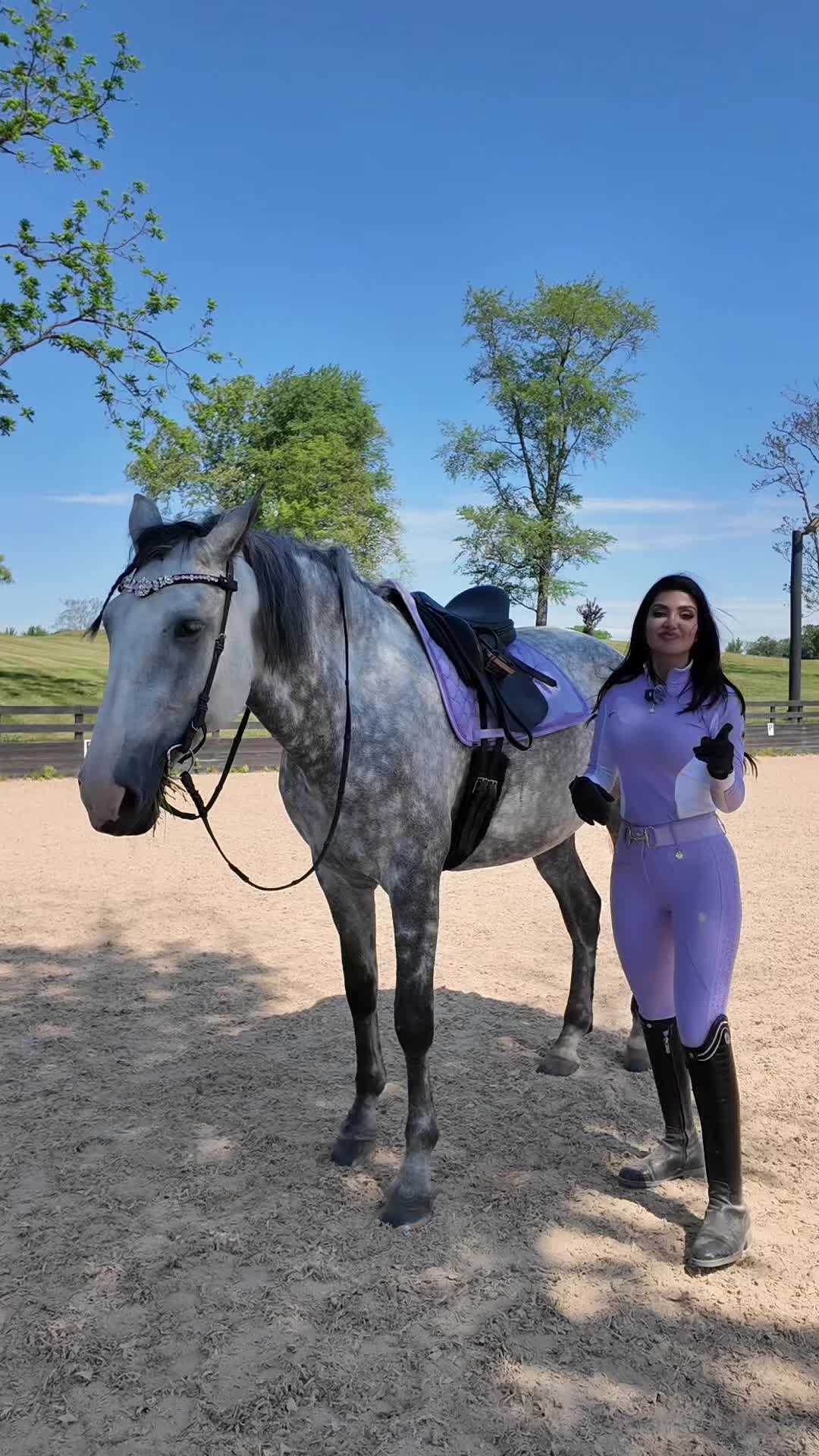 @Sync Equestrian