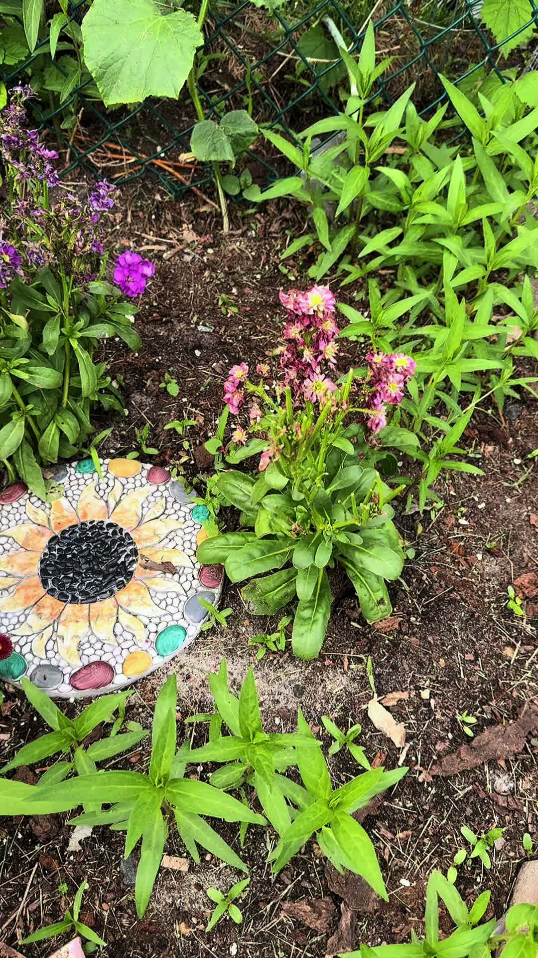 @plantsbyfern