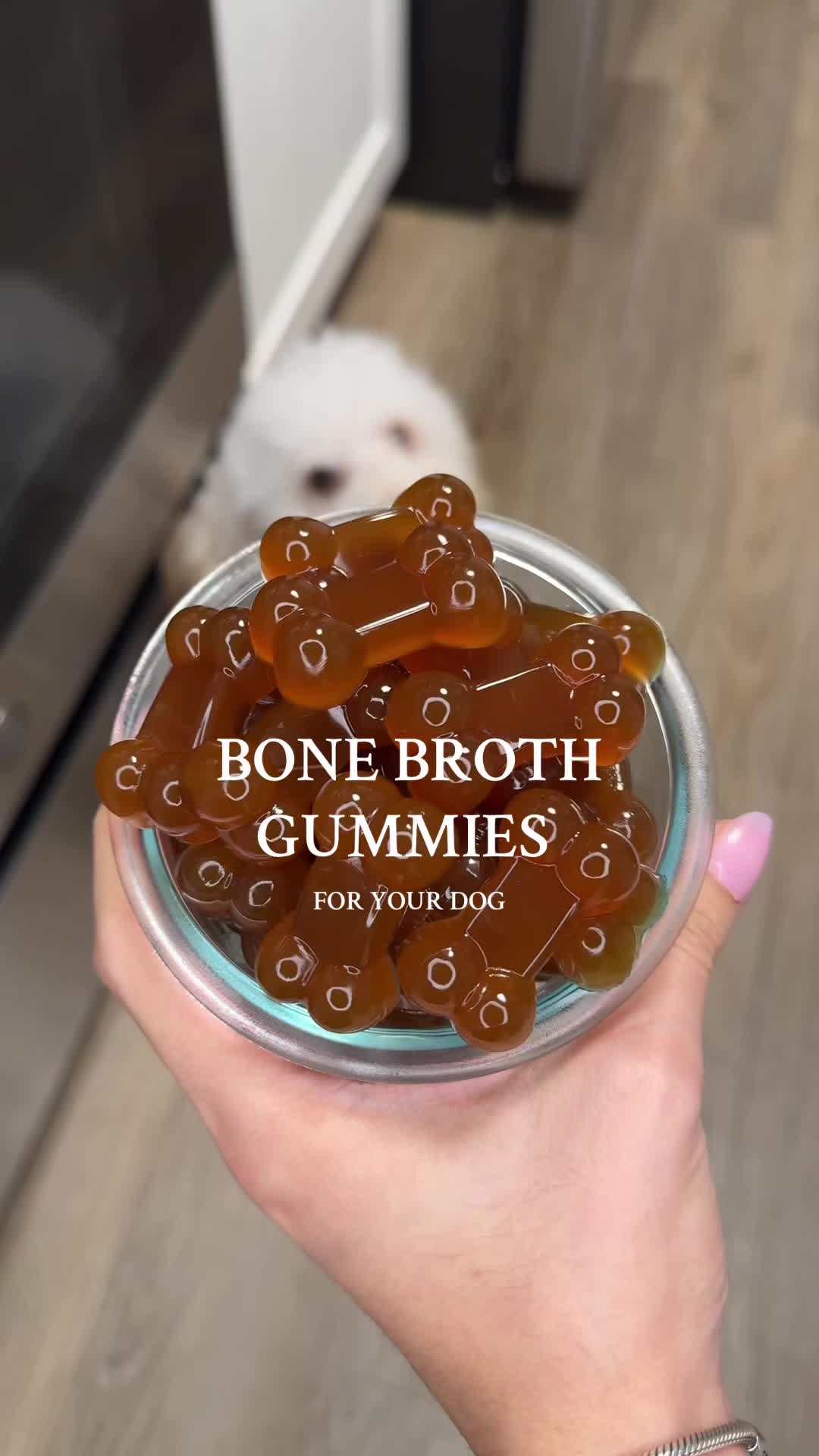 @Dog Bites Daily