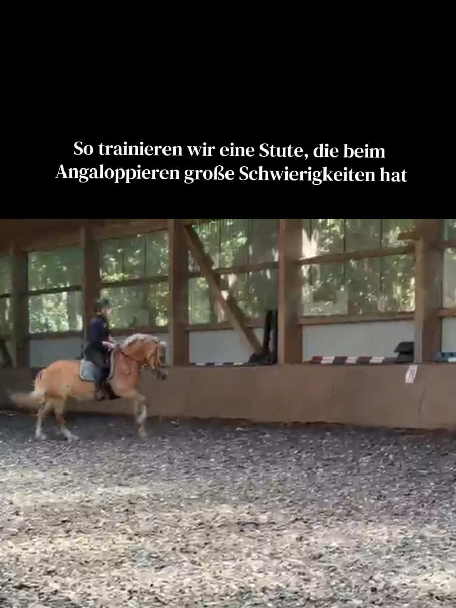 @Laurasherzenspferde 2.0