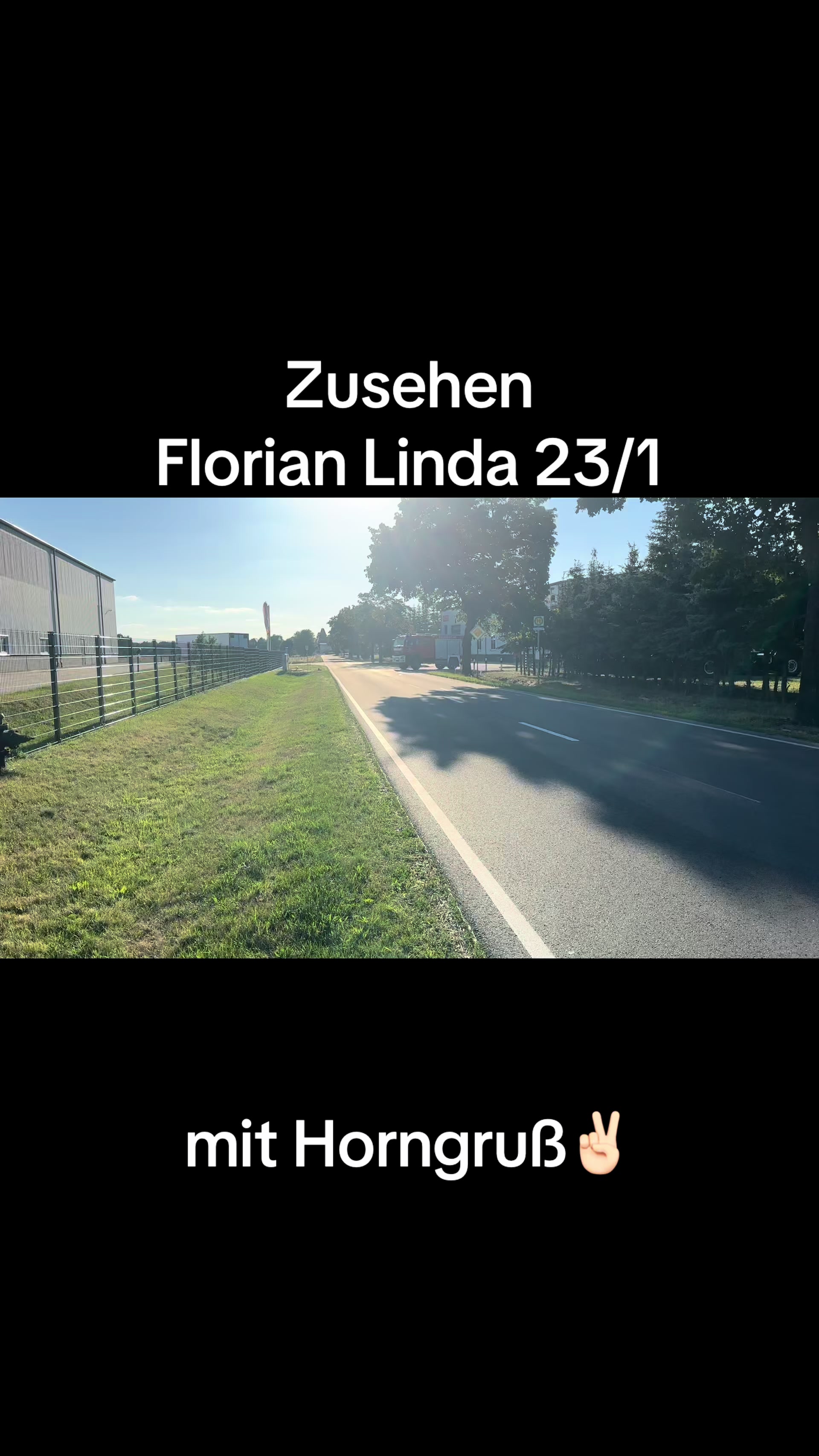@bluelight_rlp
