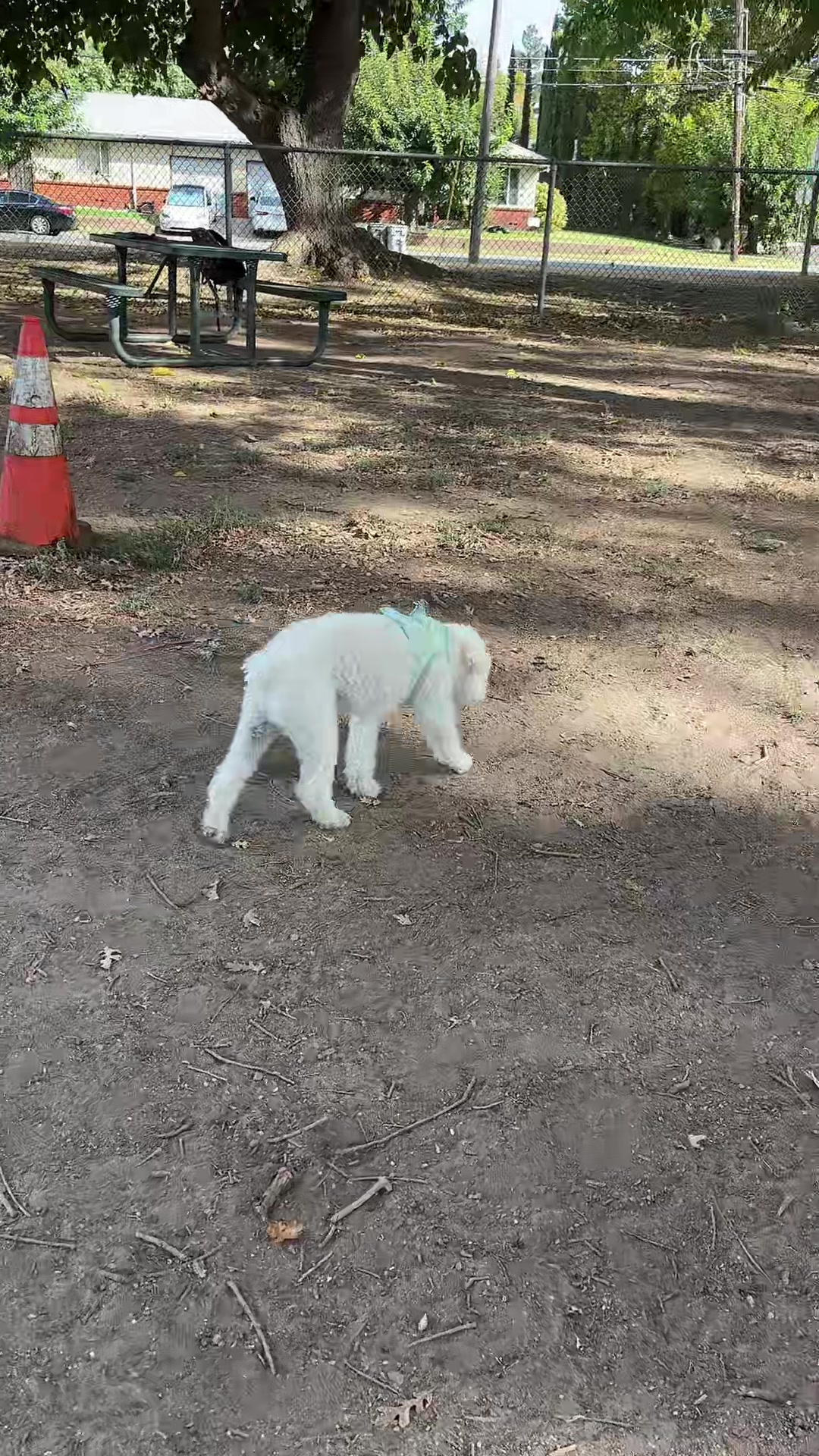 @preampetcare