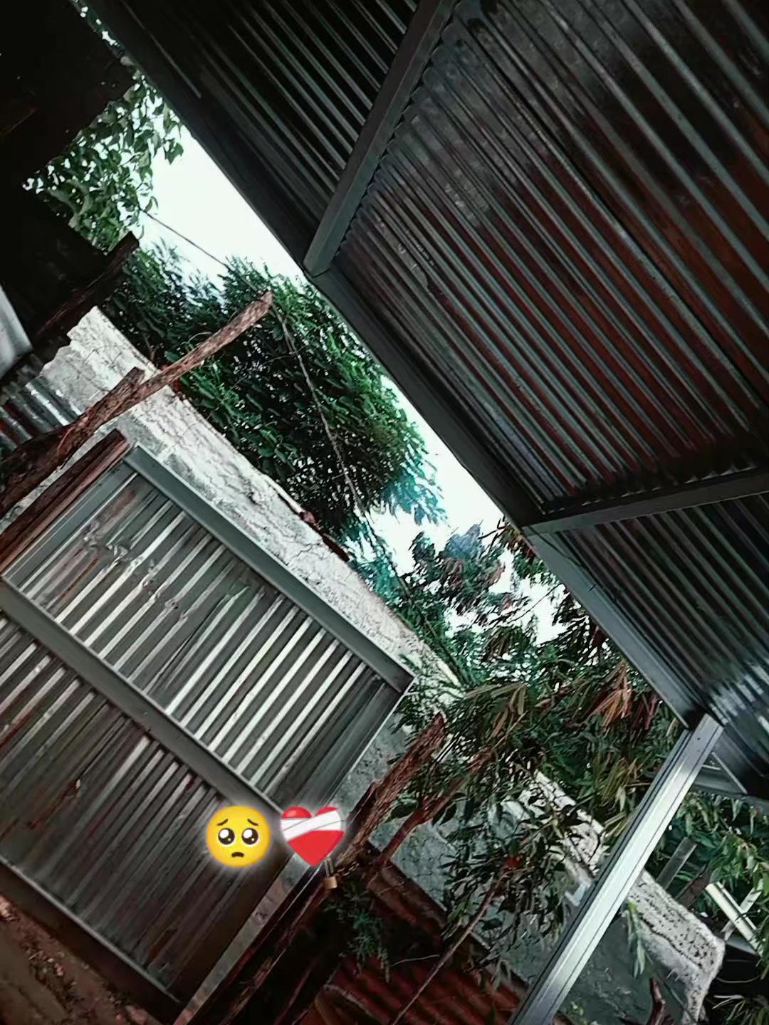 @๐ญโ
el bandido โ
๐ญ13