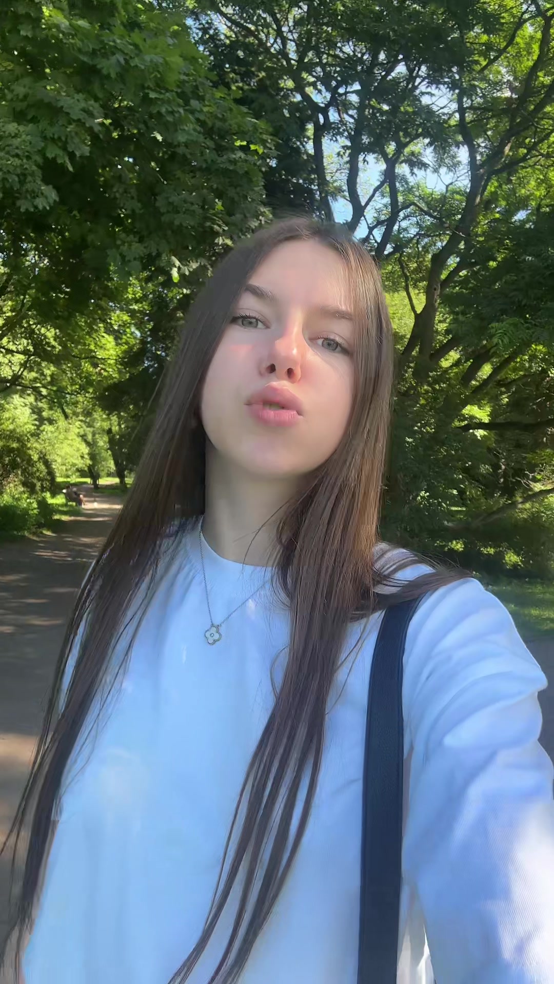 @aysn