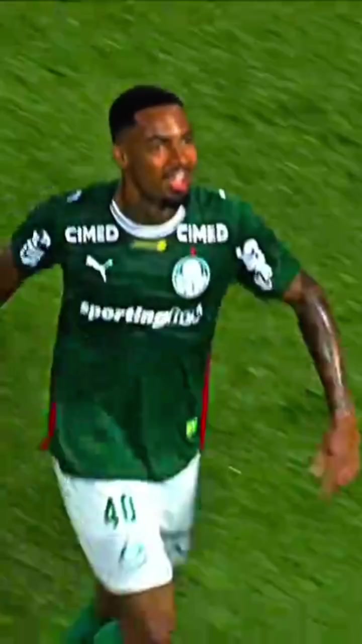 @palmeiras sempre