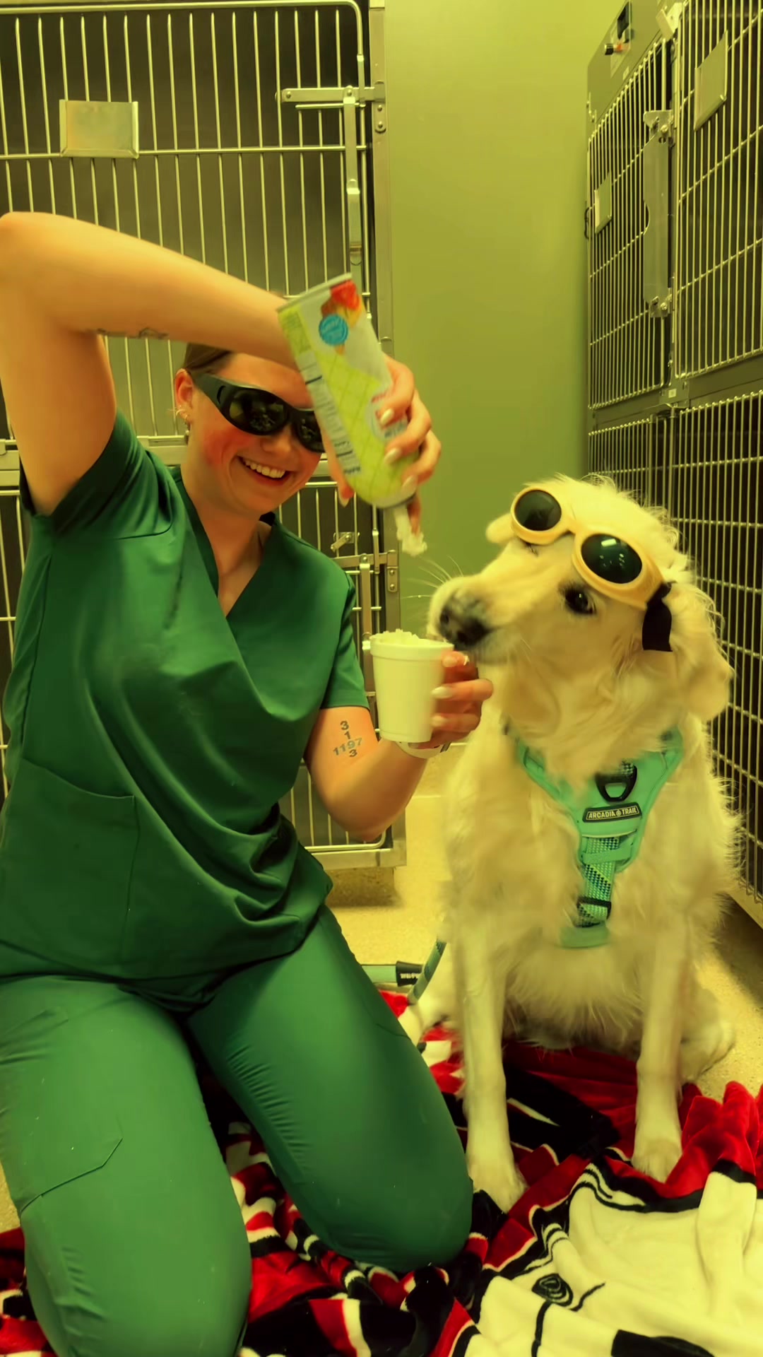 @Dreaming Summit Animal Hosp