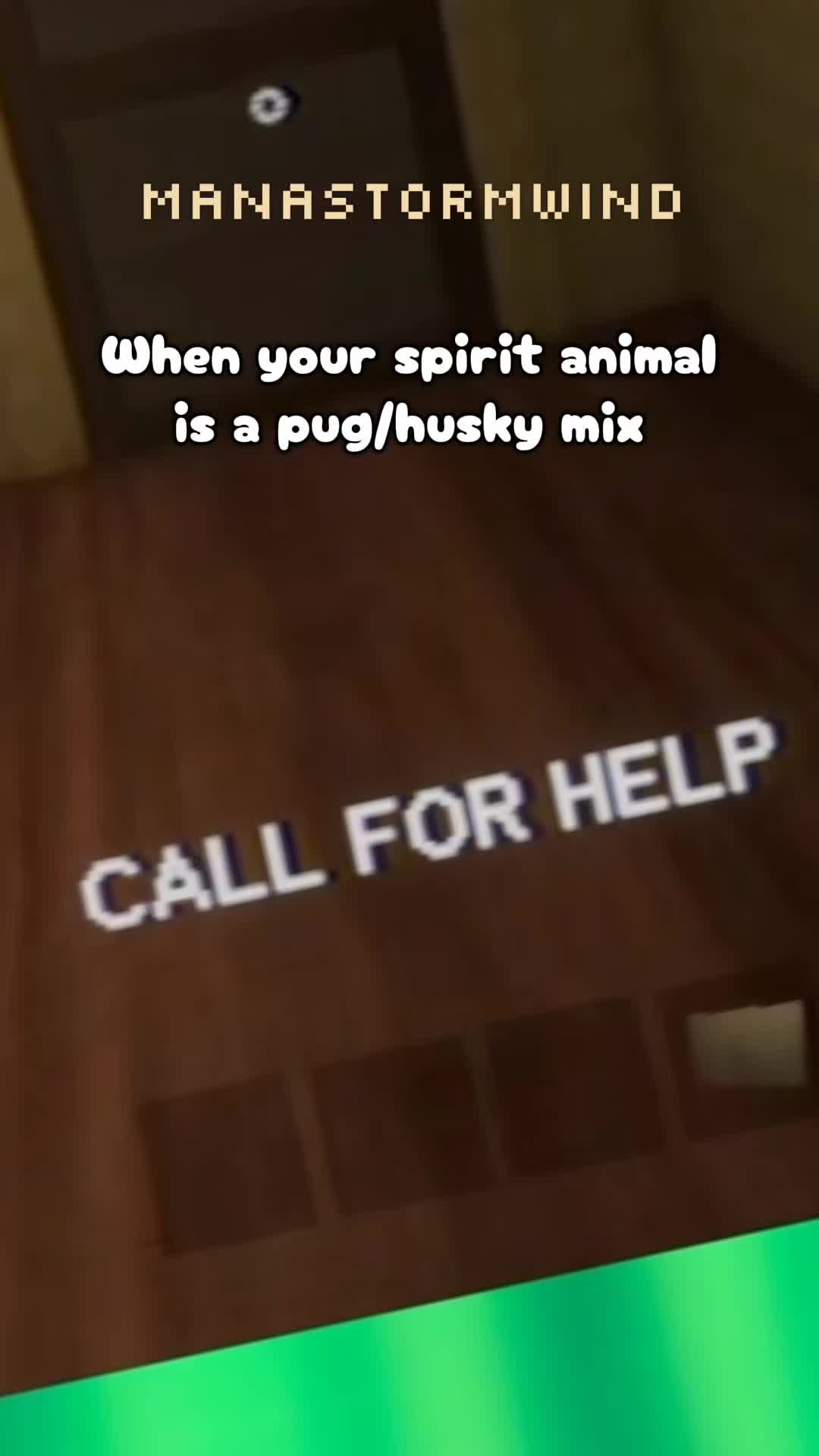 @ManaStormwind 💚🤭