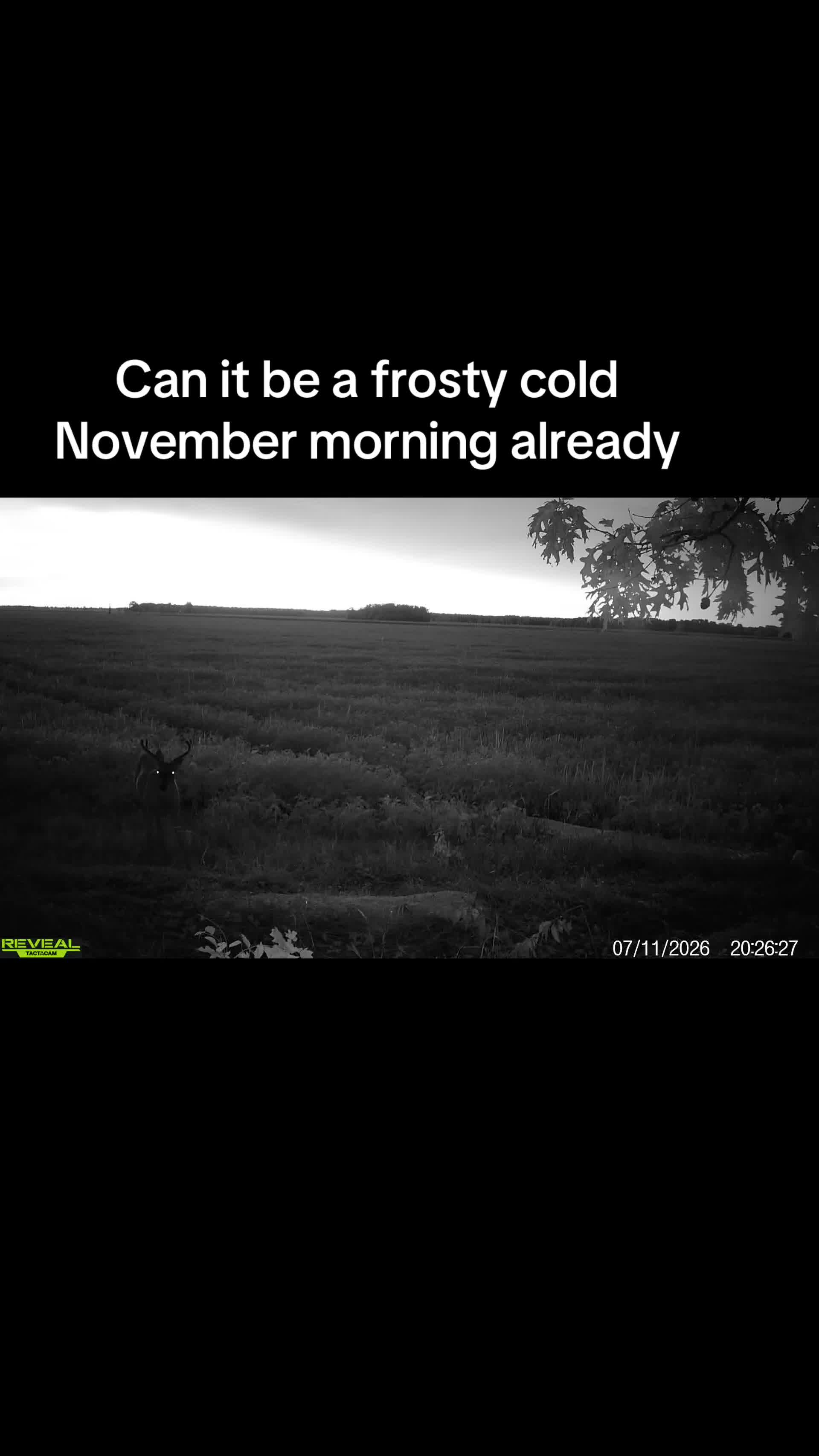 @Farm_boy1996
