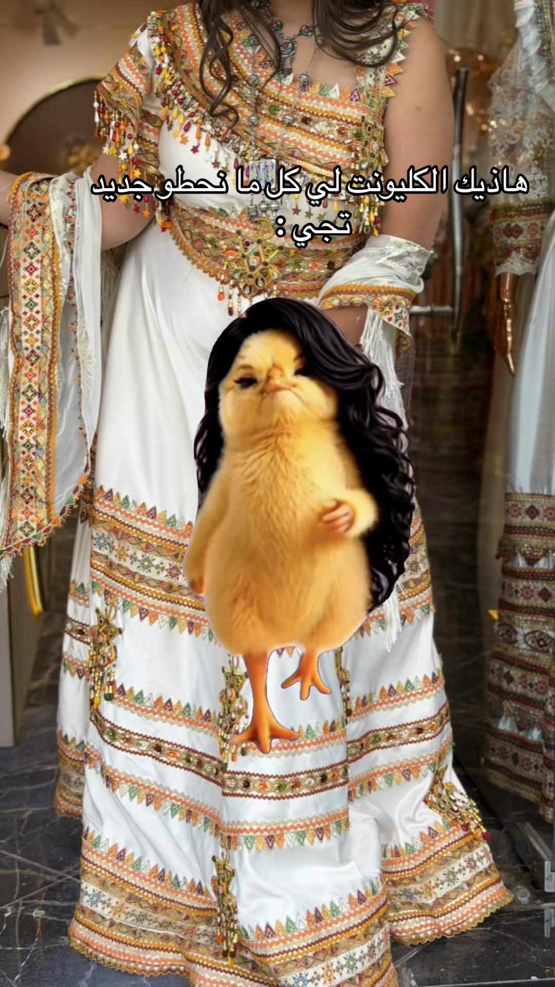 @cr&eacute;ation Zahra tamazight
