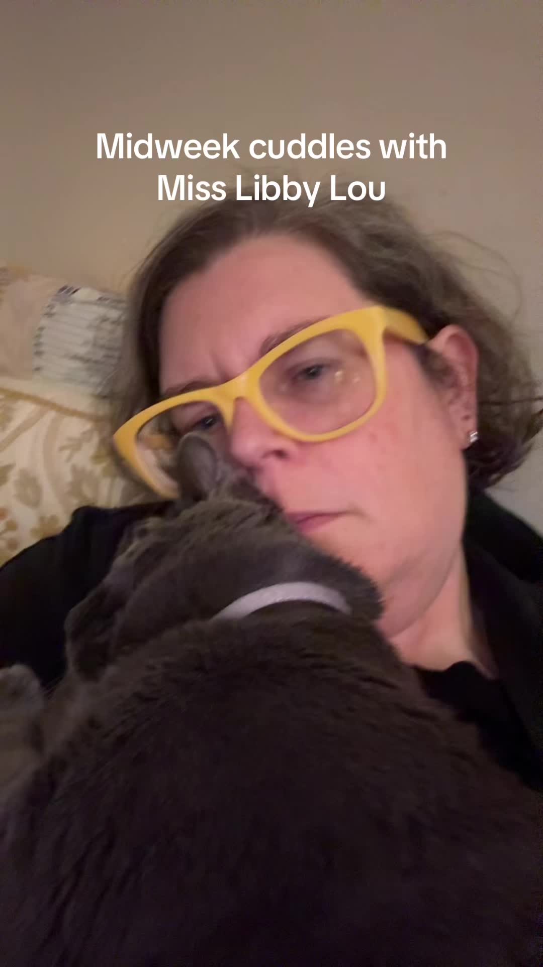 @my2blindcats