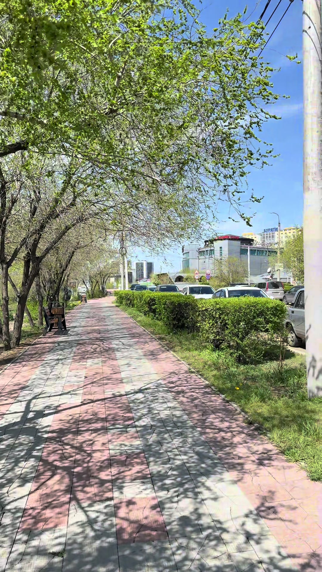 @Хулиганка на авто
