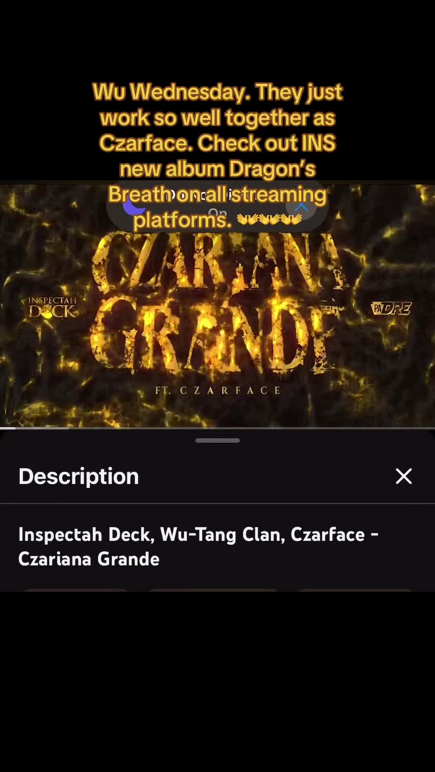 @Wu Fanatic