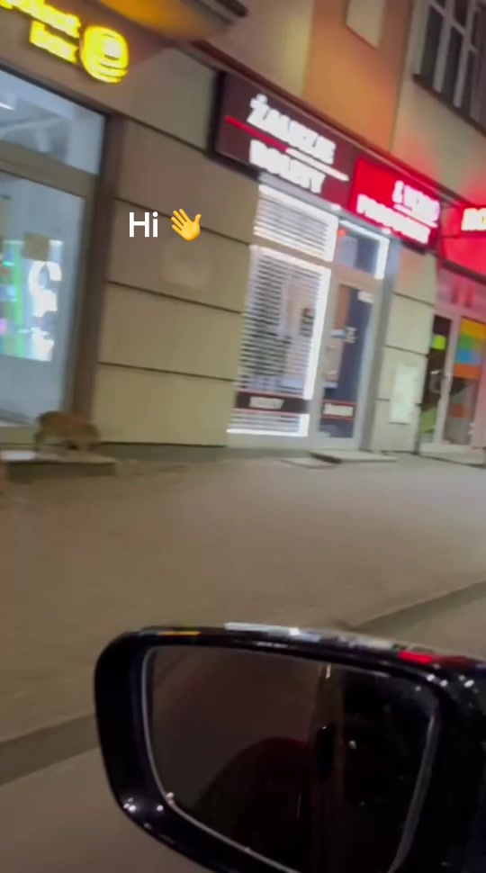 @Wiém🇹🇳Kuba🇵🇱🤞🏻