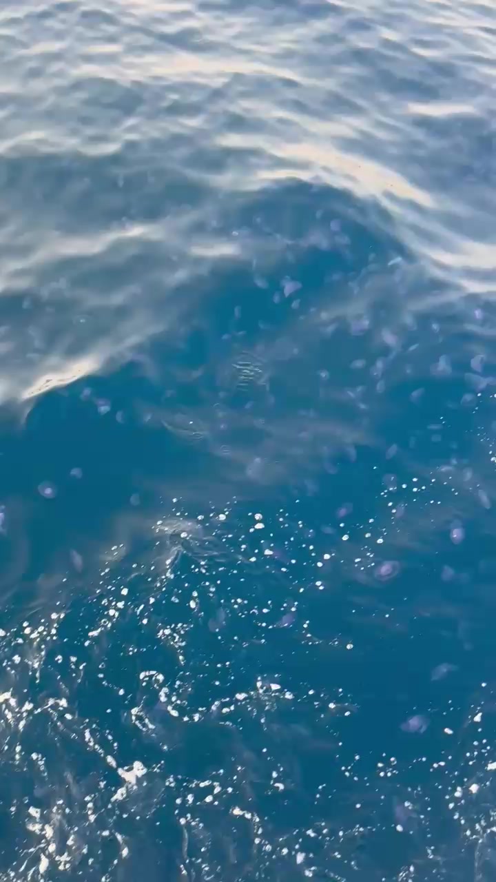@رفيعة الذوووق