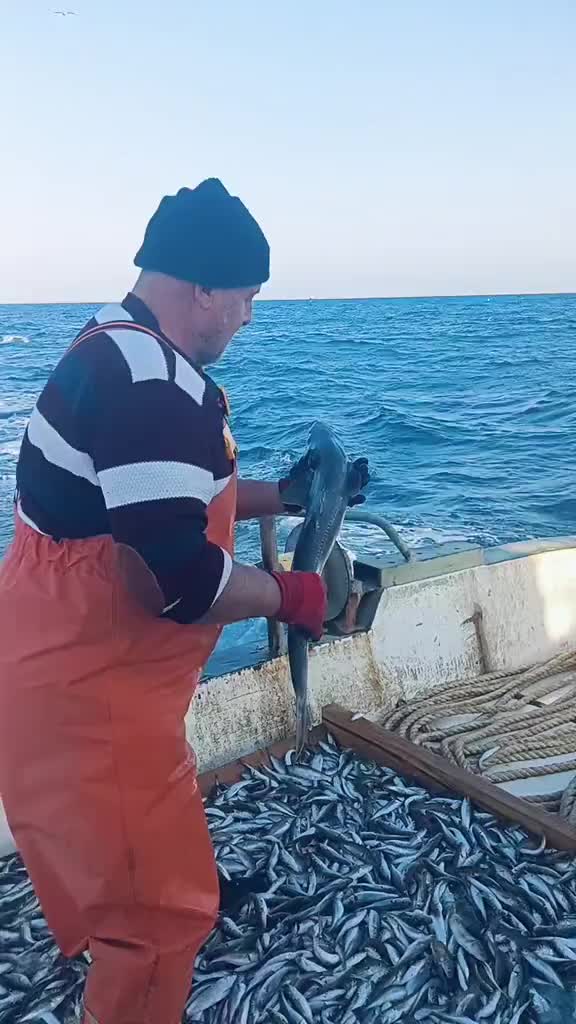 @🛳️hàmìdø⚓⚡Ræysë🐬🏴☠️