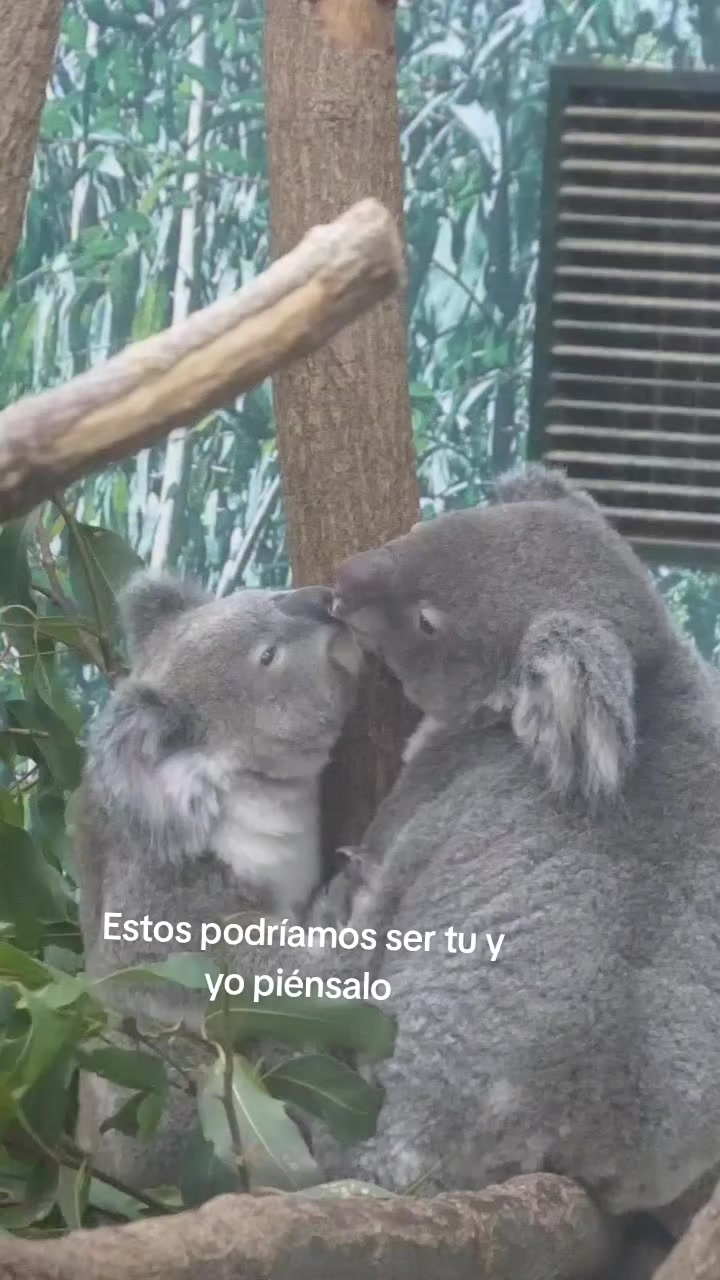 @Ivideos🖤