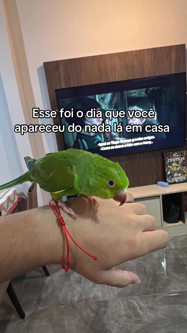 @Pires